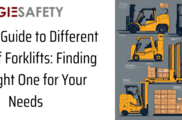 Types of Forklifts Guide